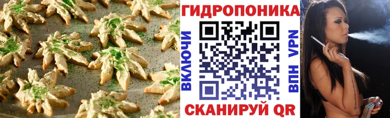 Купить где  Новая Ладога  Canna-Cookies марихуана 