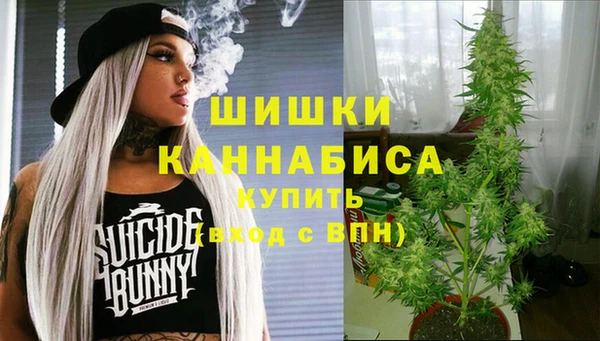 синтетический гашиш Заводоуковск