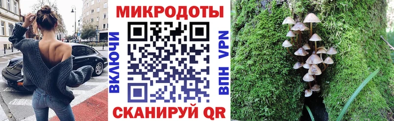 Купить где  Новая Ладога  Галлюциногенные грибы Cubensis 