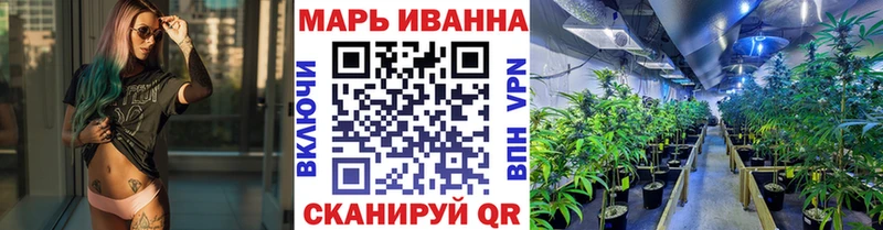 МАРИХУАНА Amnesia  Купить закладки  Новая Ладога 